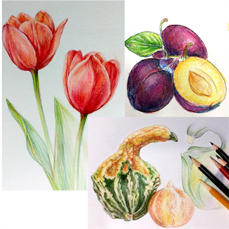 Fruits & Plants: Colored Pencil