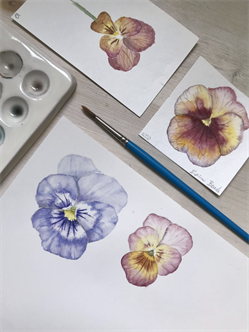 Pansy Practice