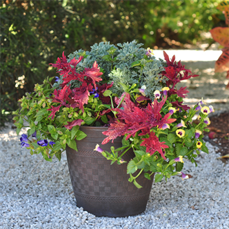 Container Gardening for Floral Arts (Summer 2024)