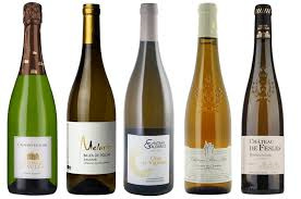 Wines of the Loire Valley and Southern France