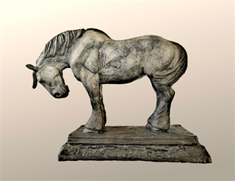 Modeling the Horse and Other Animals
