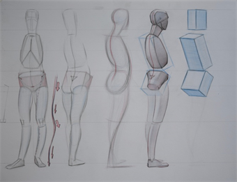 Constructive Anatomy Lecture Series $75