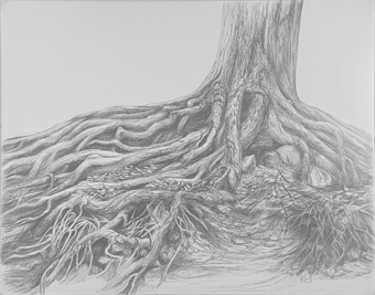 Drawing Trees - Graphite