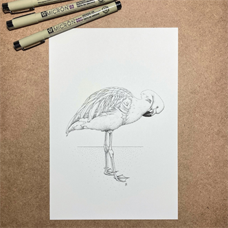 Drawing Animals in Graphite and Ink