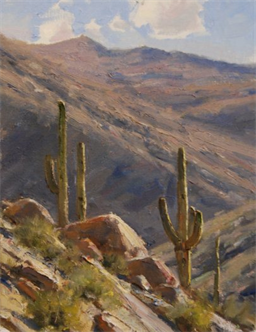 Outdoor Painting in Gold Canyon, Arizona