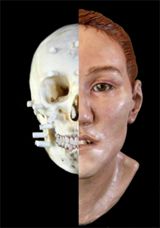 Forensic Facial Reconstruction Sculpture