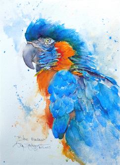 Painting Birds In Watercolor ONLINE