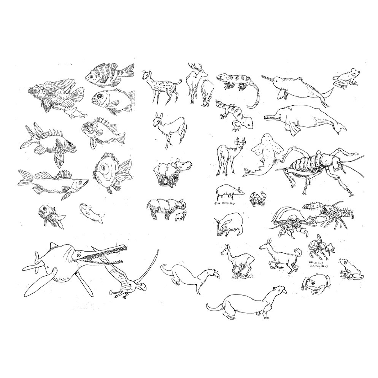 Drawing! A Lot of Drawing!