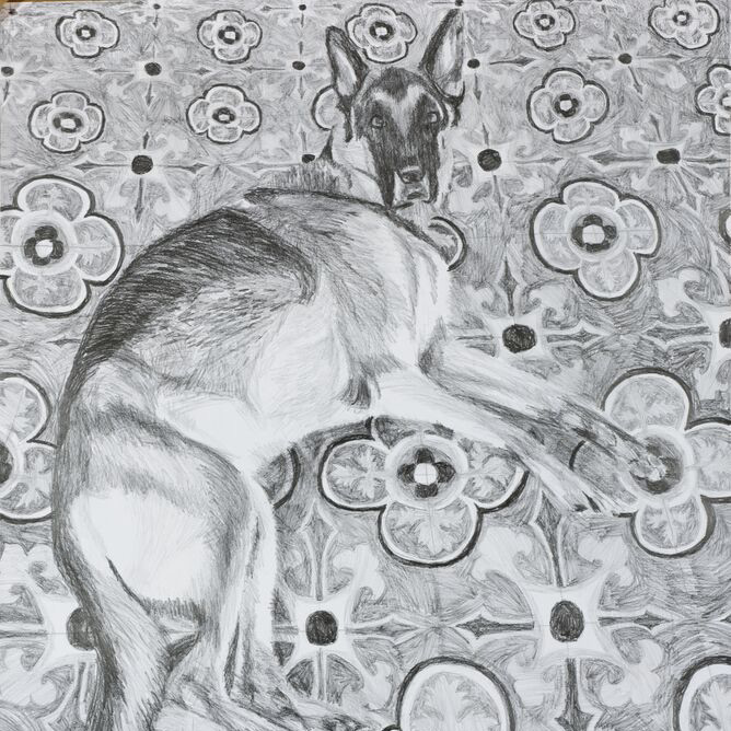 The Value of Drawing