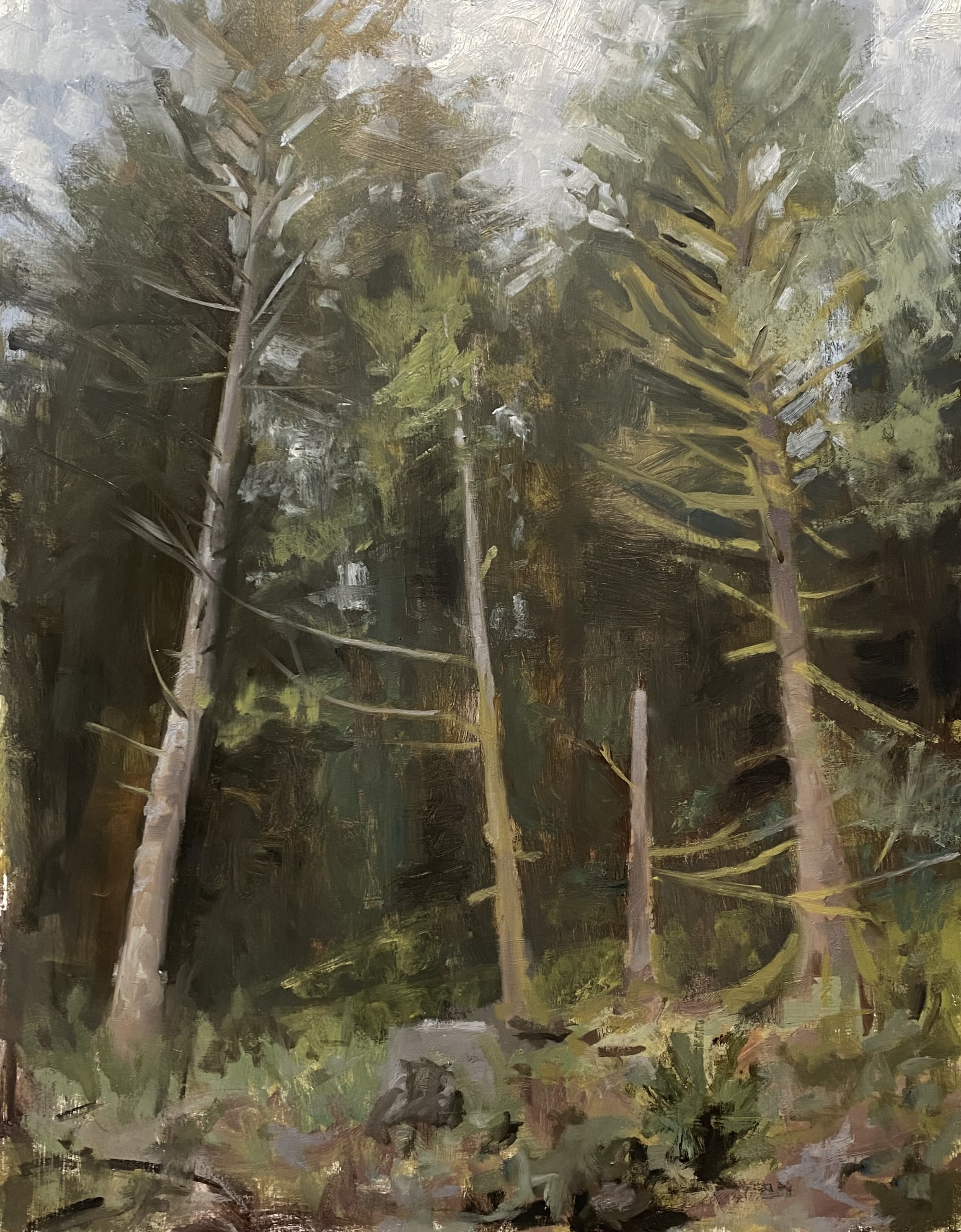 Plein Air Painting in Oil