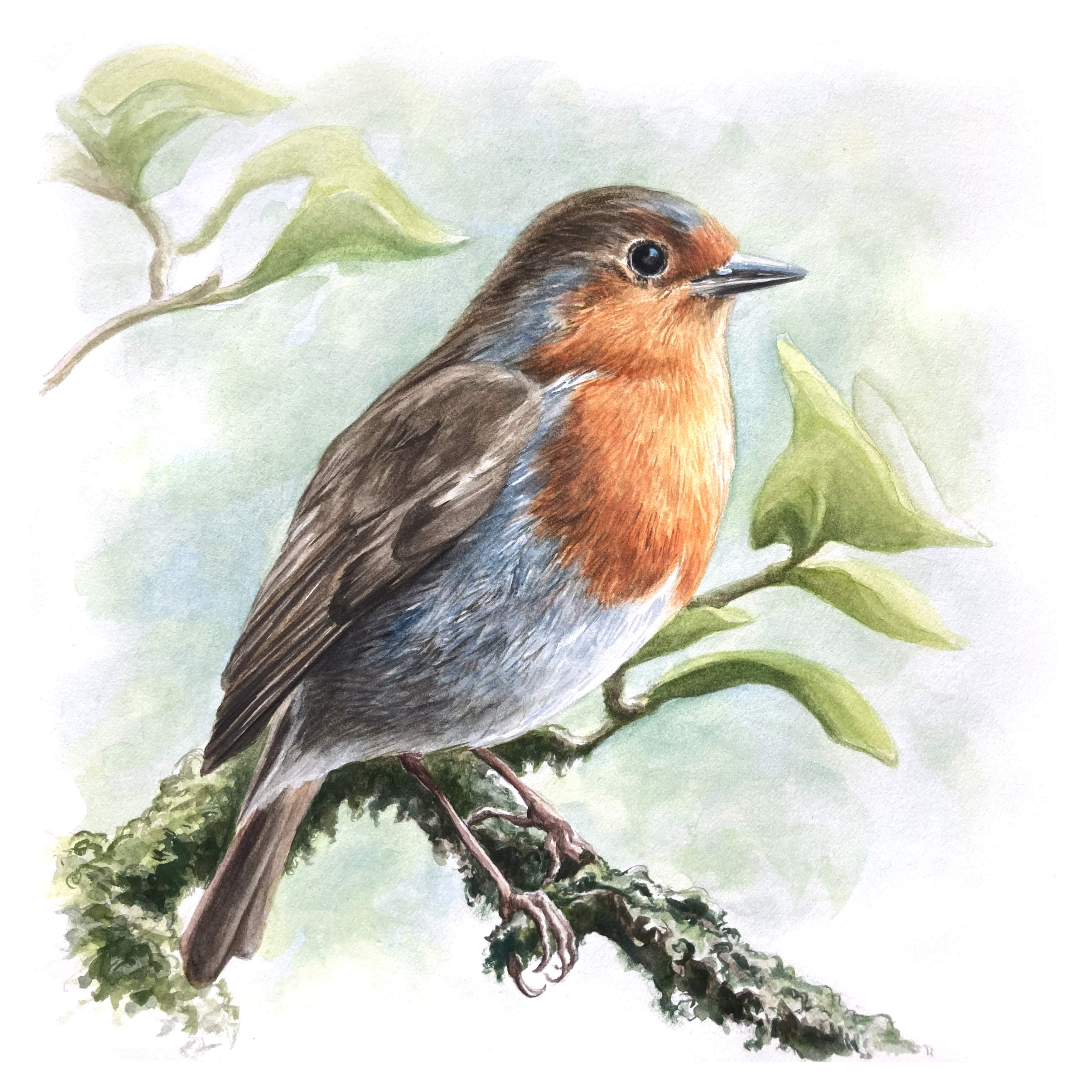 Painting Birds