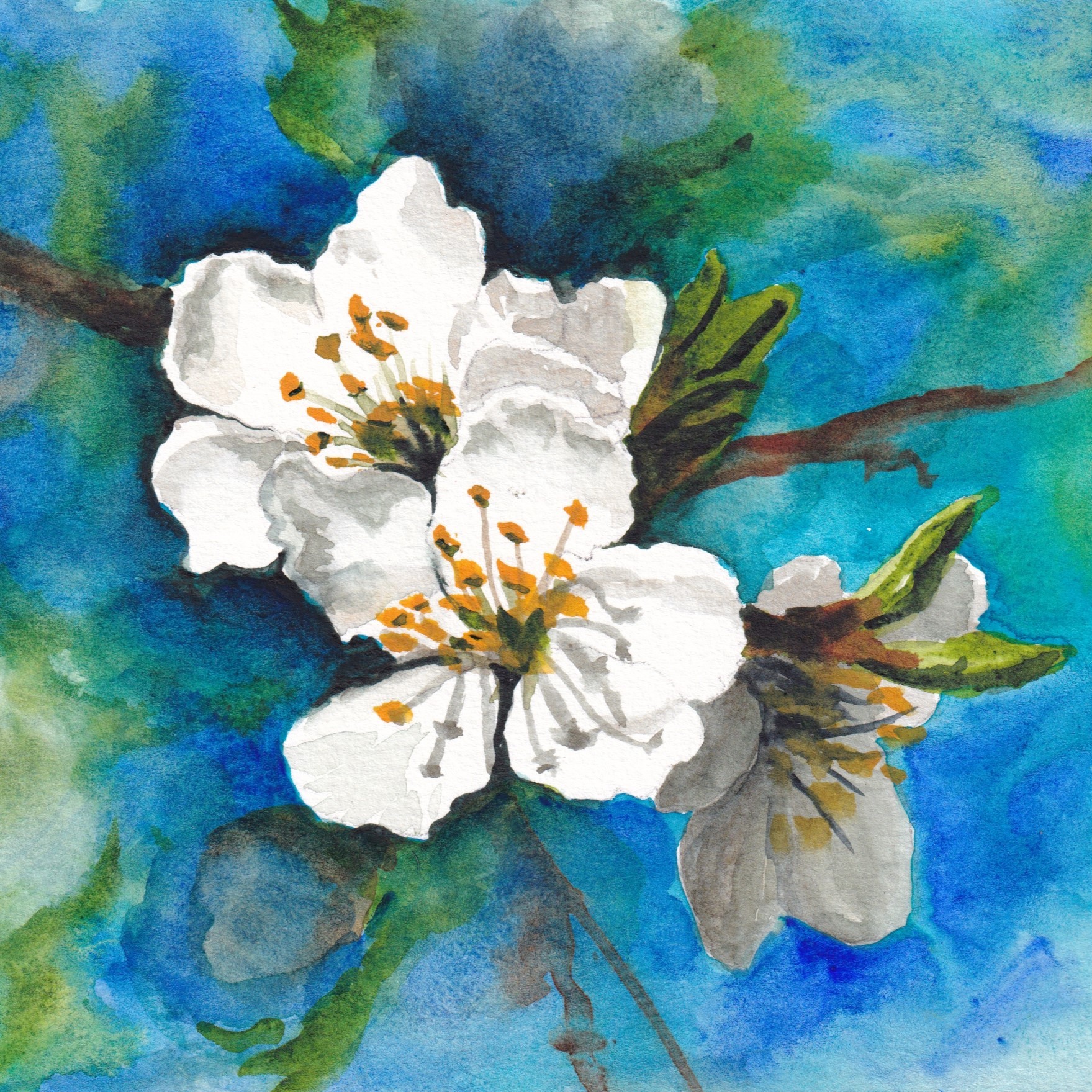Early Spring Watercolor Sketchbook | Gage Academy of Art - Seattle, WA