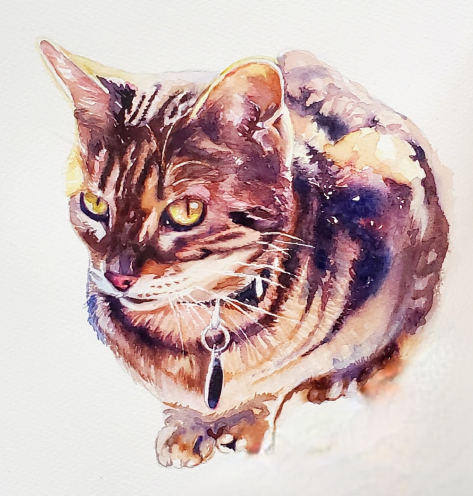 Pet Portraits in Watercolor