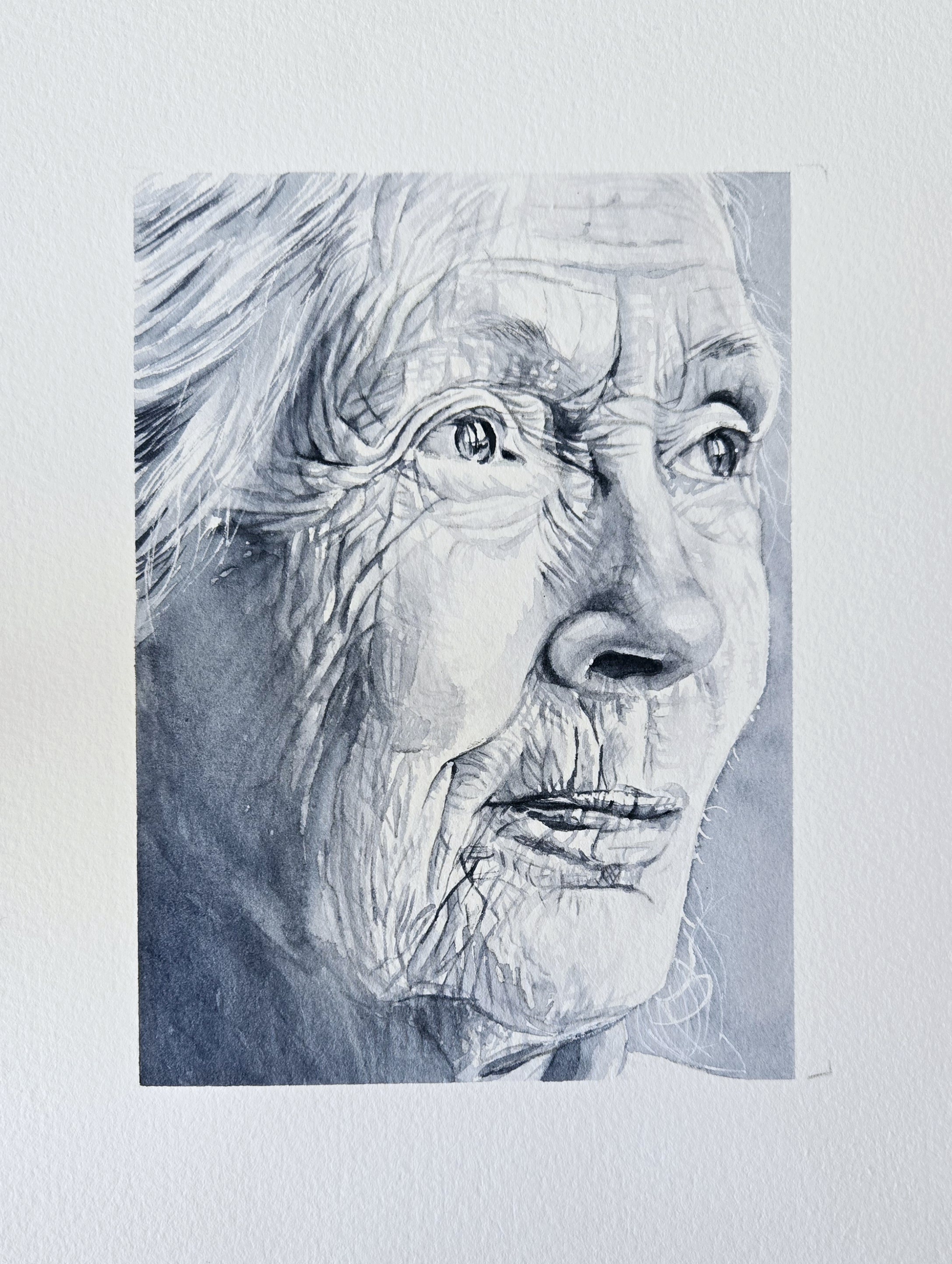 Portraits in Watercolor