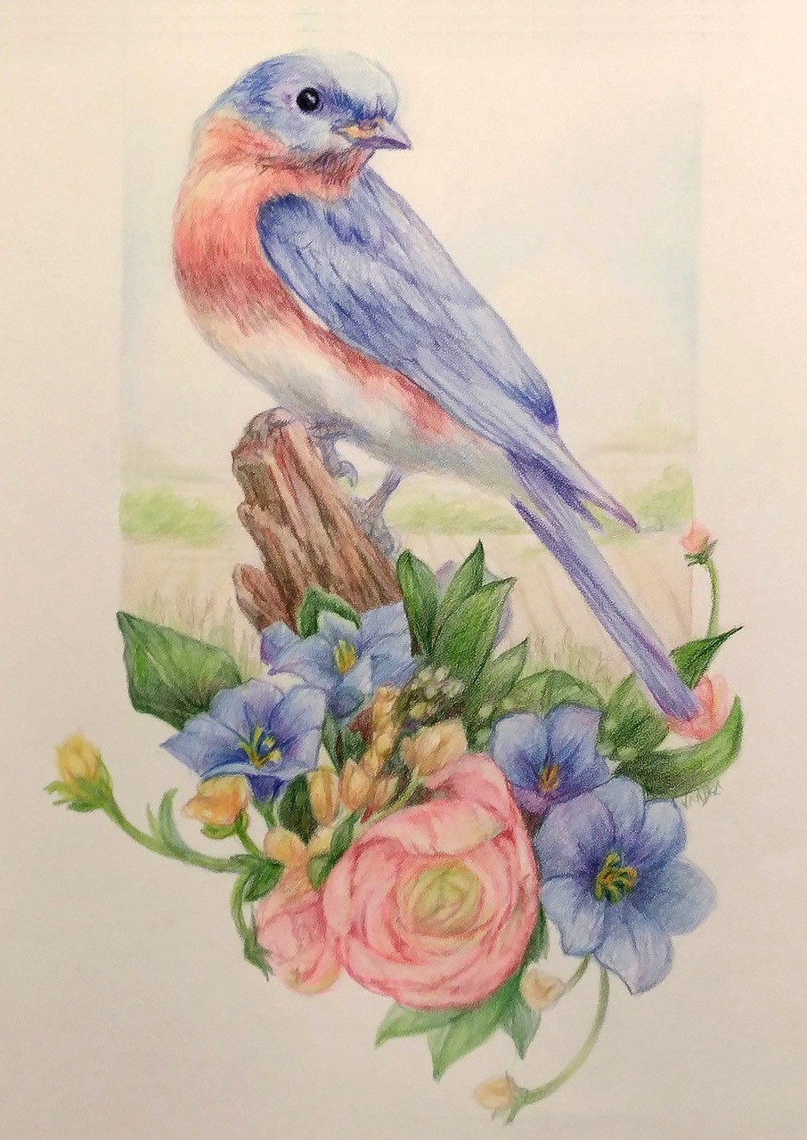 Color Pencil and Watercolor Techniques