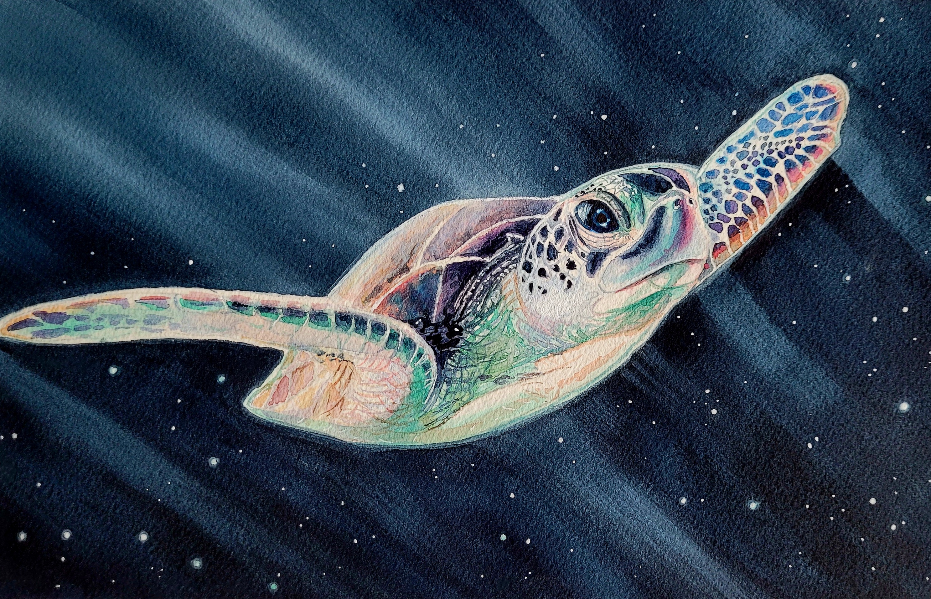Ocean Watercolors