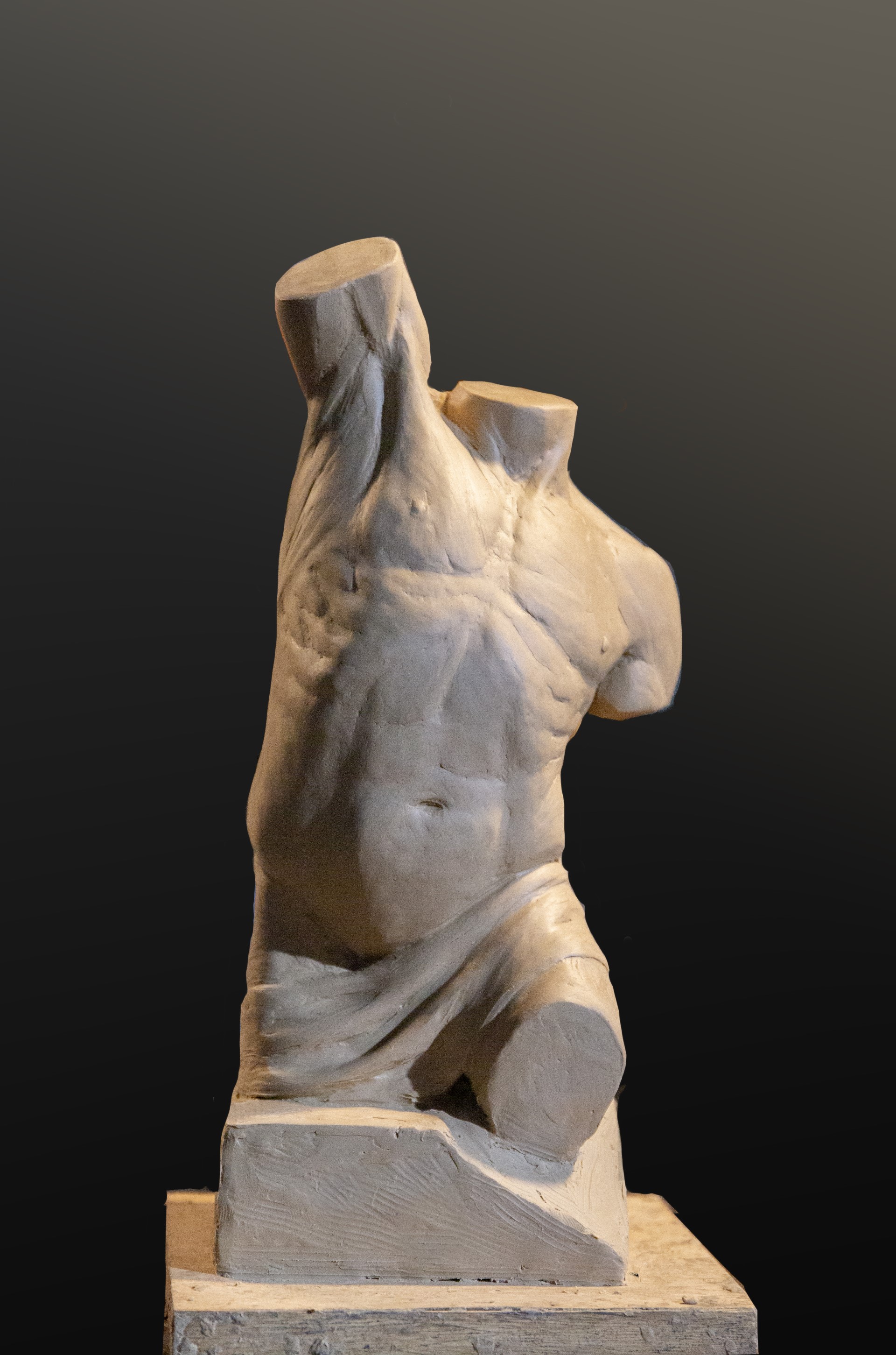 Écorché of the Torso