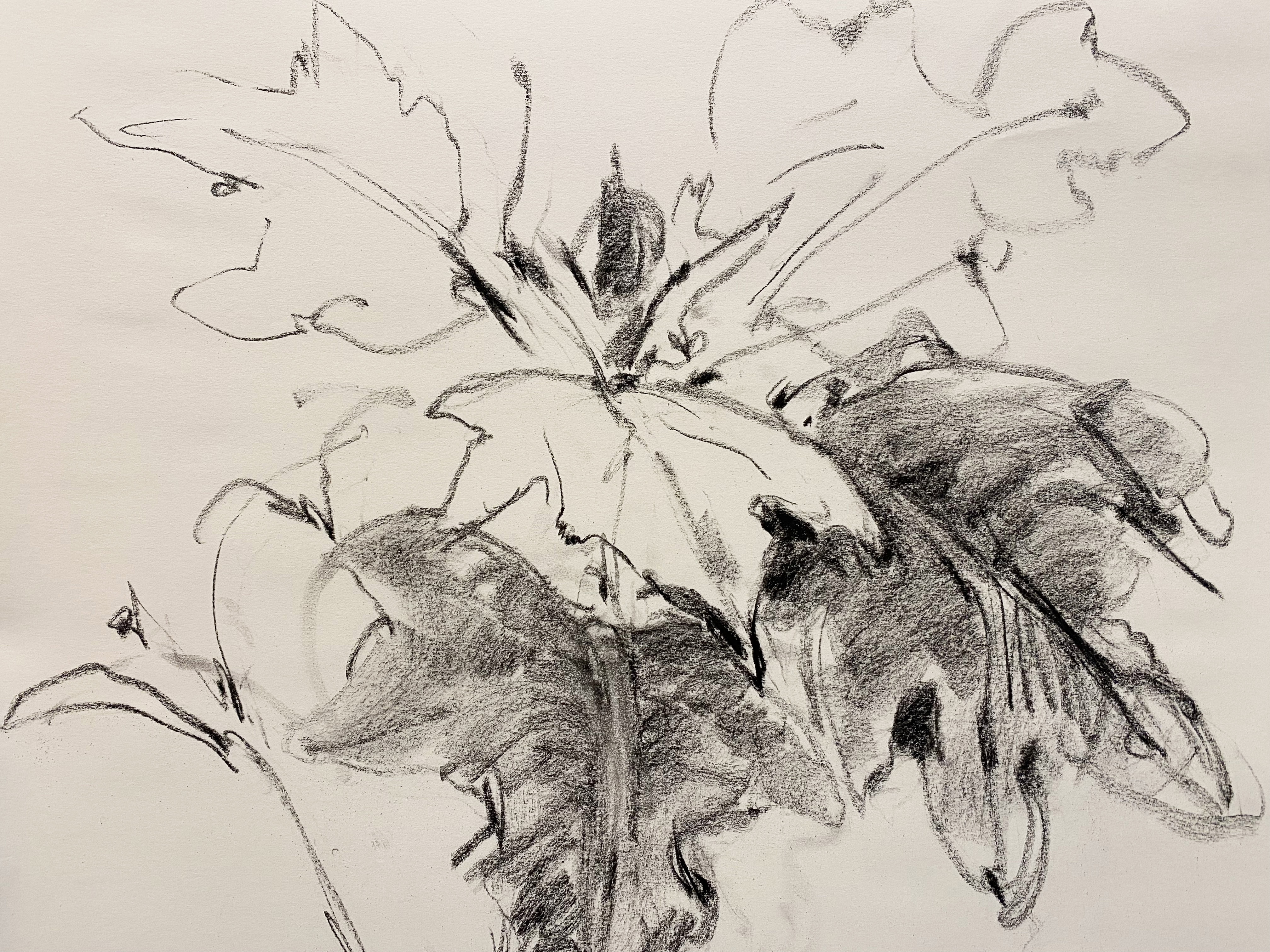 Brush Hour: Charcoal Botanicals