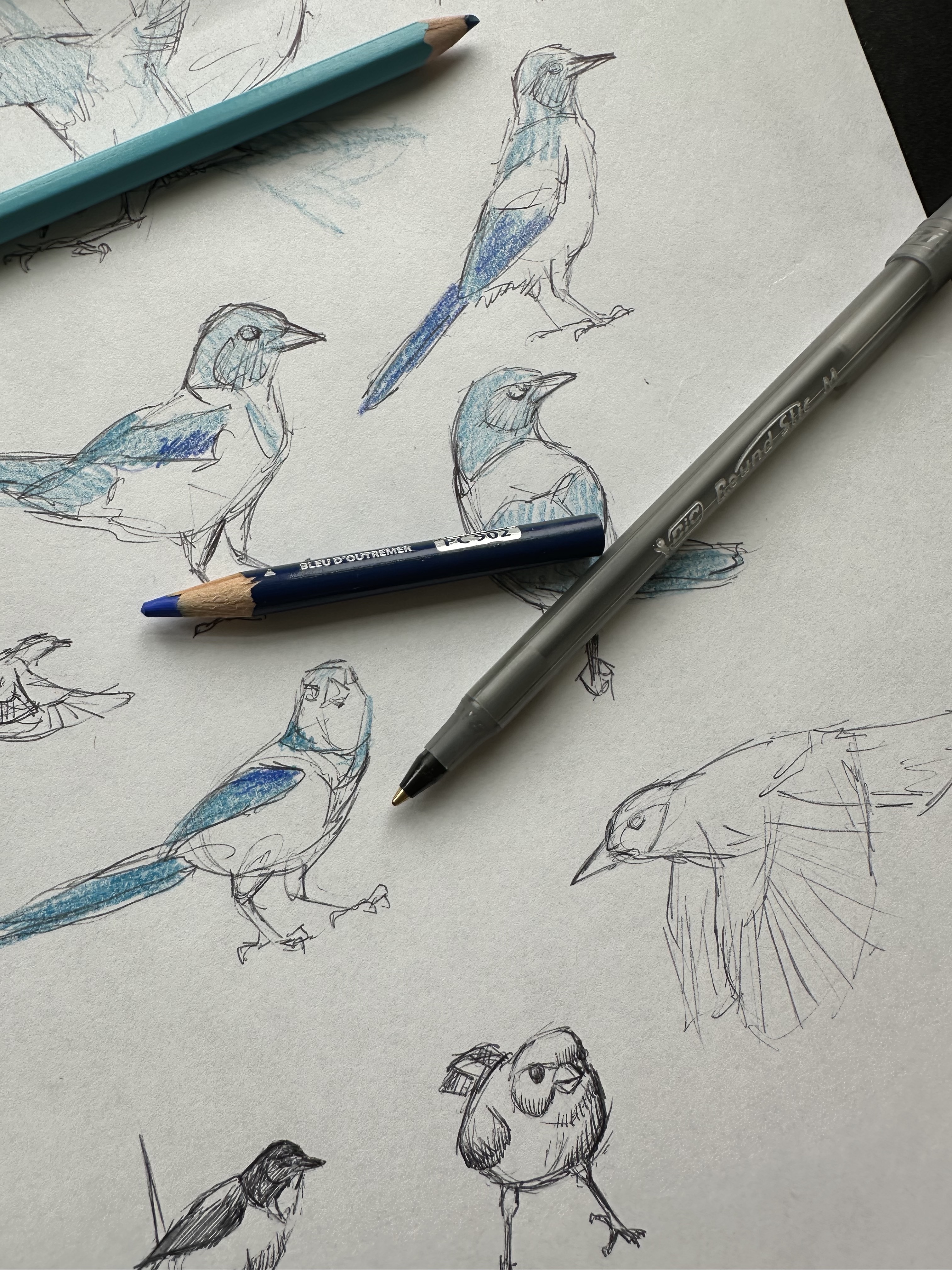 Brush Hour: Drawing Bird Friends