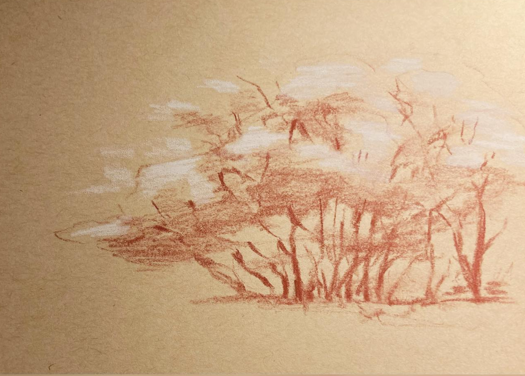 All Ages: Drawing a Landscape